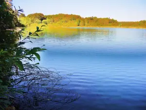 グランドマクル湖の東岸（©J.E）