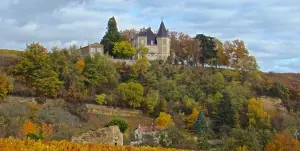 Denicé - 马尔瓦尔城堡