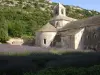 Abadia de Sénanque (© Frantz)