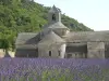 Abadia de Sénanque (© Frantz)