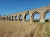 Acquedotto romano di Gier - Flat of Air (© OTIVG C. Cordat)