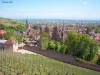 The Alsace Wine Route - Ribeauvillé seen from the vineyard (© Jean Espirat)