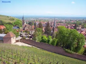 Ribeauvillé seen from the vineyard (© Jean Espirat)