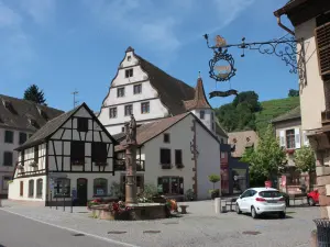 Andlau and his fountain