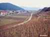 The Alsace Wine Route - Westhalten Vineyard (© Jean Espirat)