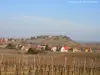 The Alsace Wine Route - Vineyard of Zellenberg (© Jean Espirat)