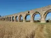 Aqueduc romain du Gier - Plat de l'Air (© OTIVG C. Cordat)