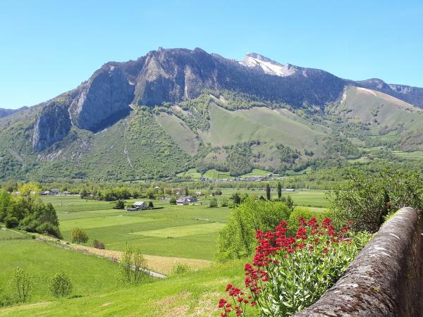 The Aspe Valley - Tourism & Holiday Guide
