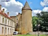 Toren van het oude kasteel van de abten Cluny (© JE)