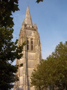 Église de Marennes