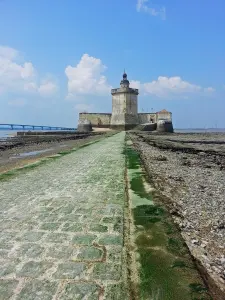 Fort Louvois