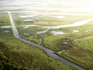 Regional Natural Park Aerial view of the Brière Park (© CARENE - Martin Launay)