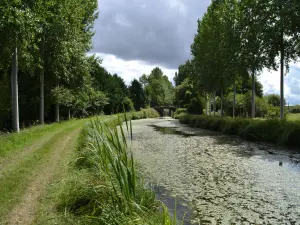 Les Aubris en Bannegon en Cher