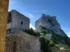 Il castello di Peyrepertuse - Peyrepertuse