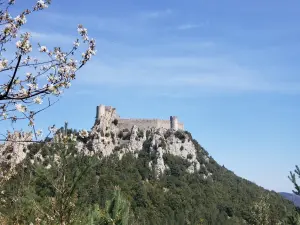 Castillo - Vista desde el belvedere