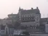 Vista del castillo de Amboise