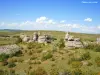 Panorama sur le plateau du Larzac (© Jean Espirat)