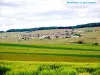 Monthelon seen from Cramant ( © Jean Espirat )