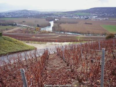 The Champagne Trail Tourism Holiday Guide