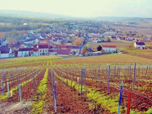 Mareuil -sur-Ay, von der Notre -Dame- du- Gruguet (© Jean Espirat ) gesehen