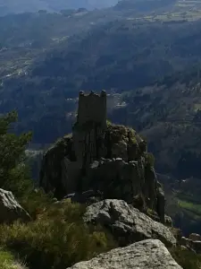 Château de Rochebonne 