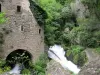 Moulins de la Foux (© OTL&L)