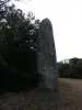 The menhir stone or planted