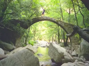 Bridge Zaglia - GR Mare e Monti Nord (© Jean Espirat)