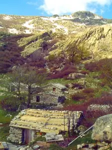 Sheepfolds Capanelle - GR 20 (© Jean Espirat)