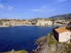 Panorama sur Collioure (© Jean Espirat)