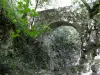 Pont accédant aux ruines du monastère de Prébayon