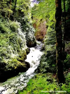 Langouette Gorge visto da ponte (© Jean Espirat)