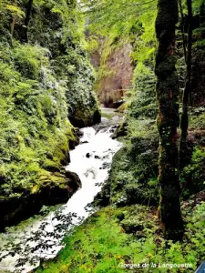 Langouette Gorge (© Jean Espirat)