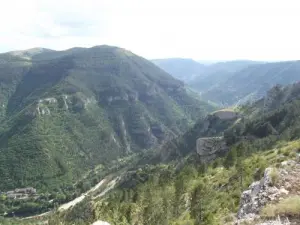 Panorama der Gorges du Tarn