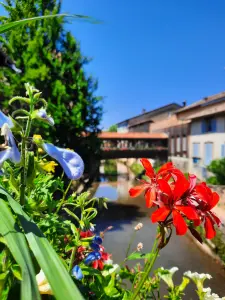 Châtillon-sur-Chalaronne y sus puentes floridos en Dombes