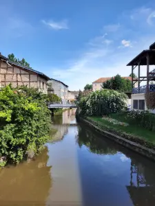 Châtillon-sur-Chalaronne - Dombes Turismo