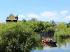 Paseo en barco para descubrir y aprender más sobre la flora y fauna del ecomuseo de Alsacia