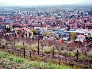 Obernai vanaf de wijngaard (© Jean Espirat)