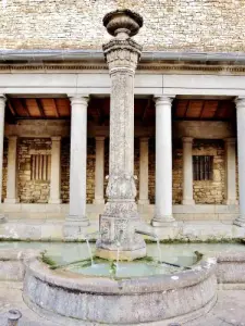 Mollans - Particolare della colonna al centro della fontana ( © JE )