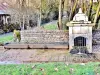 Mollans - Fontaine- washing Buriot ( © Jean Espirat )