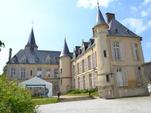 Castle Théméricourt