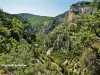 Gorges de la Nesque vues d'un belvédère (© Jean Espirat)