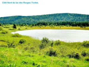 Lac des Rouges Trout北侧（©Jean Espirat）