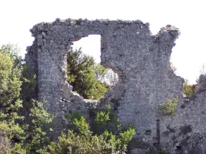 Castellaras de Thorenc à Andon (© J.E)