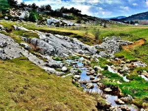 Lapiaz du gouffre de l'Embut à Caussols (© J.E)