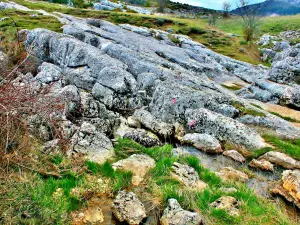 Lapiaz du gouffre de l'Embut à Caussols (© J.E)