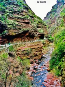 Gorges du Cians (© Jean Espirat)