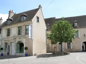 Loire museum Gevels