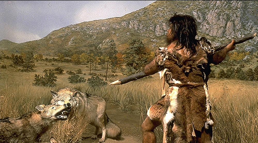 Foto's - Het prehistorisch museum van Tautavel - Gids Toerisme & Recreatie