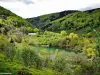 De Lachtelweiher, Massif du Ballon d'Alsace (© Jean Espirat)